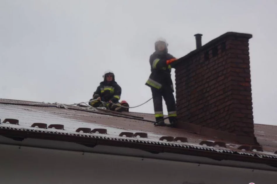 Pożary, wypadki drogowe, anomalie pogody czyli rok 2016 z perspektywy strażaków - zdjęcie 2