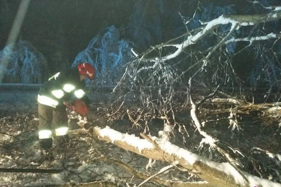 Pożary, wypadki drogowe, anomalie pogody czyli rok 2016 z perspektywy strażaków - zdjęcie 3