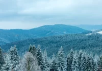 Uwaga, silny wiatr - ostrzega IMiGW - zdjęcie główne