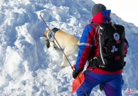 Ratownicy GOPR pomogli turystyce - zdjęcie główne