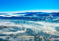 Poprzyj uchwałę antysmogową. Twój głos ma znaczenie - zdjęcie główne