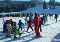 700 tys. zł na naukę jazdy na nartach - zdjęcie główne