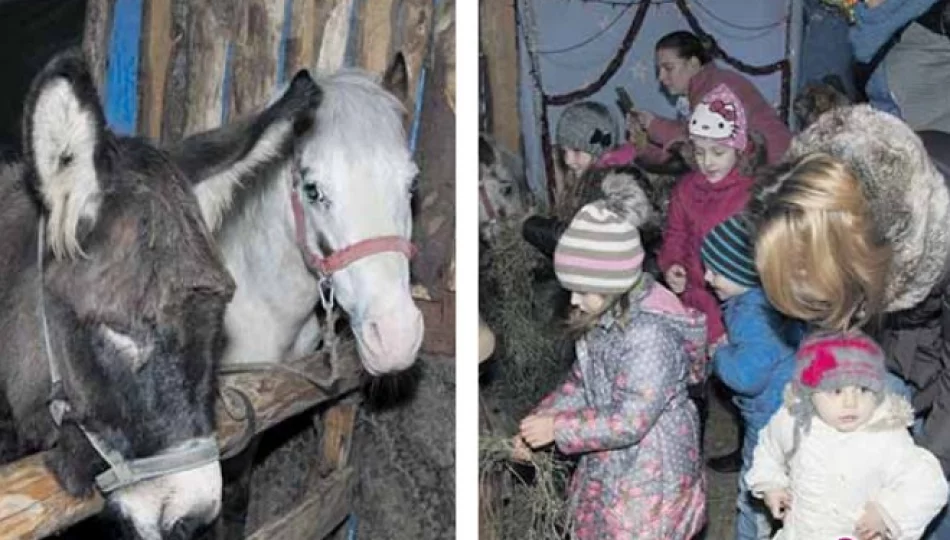 Żywa szopka w Żeleźnikowej czeka na zwiedzających - zdjęcie 1