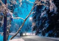 Tak było w święta w Krynicy - Zdroju: wiatr dał się we znaki - zdjęcie główne