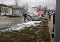 Przy drodze wojewódzkiej spłonął samochód - zdjęcie główne