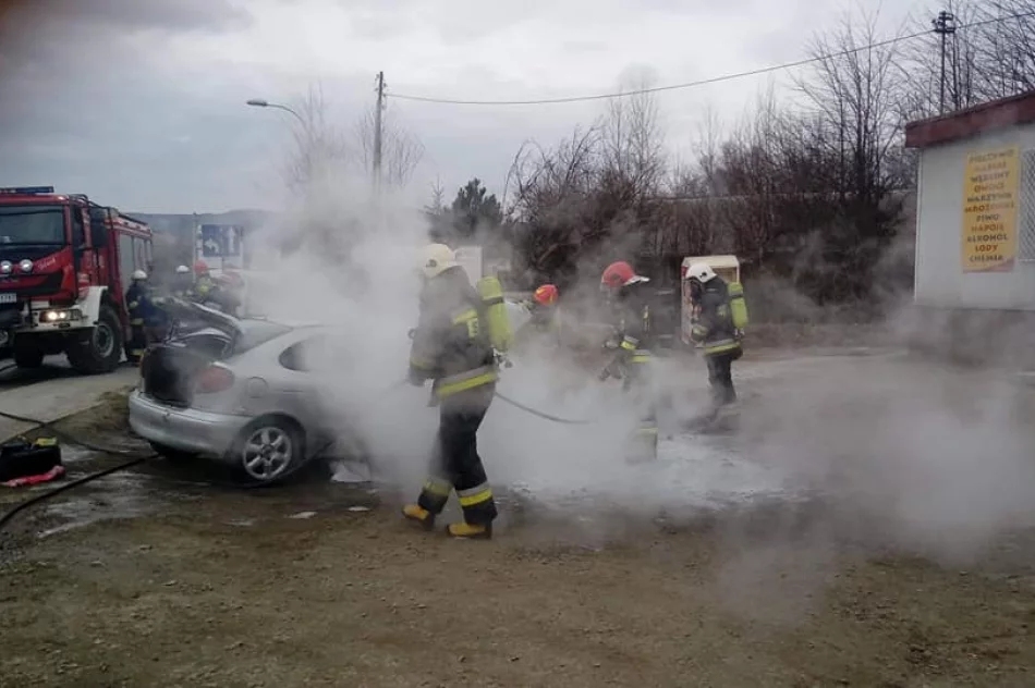 Przy drodze wojewódzkiej spłonął samochód - zdjęcie 3