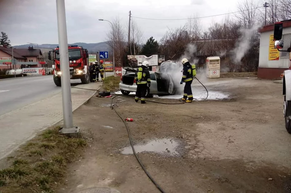 Przy drodze wojewódzkiej spłonął samochód - zdjęcie 4