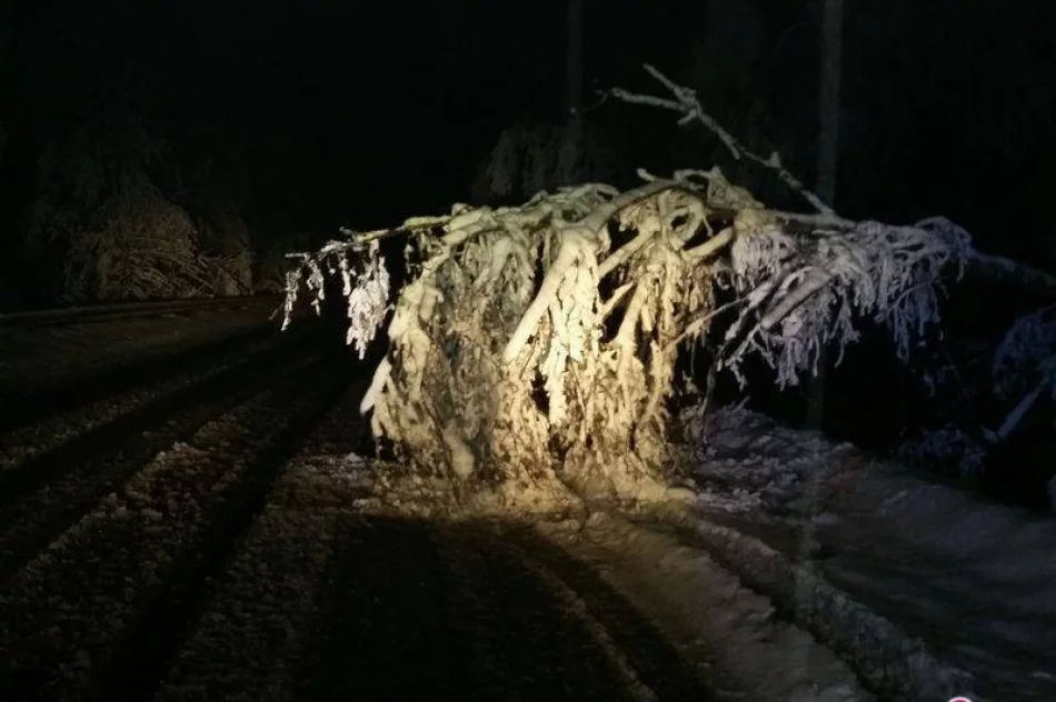 Tak było w święta w Krynicy - Zdroju: wiatr dał się we znaki - zdjęcie 2