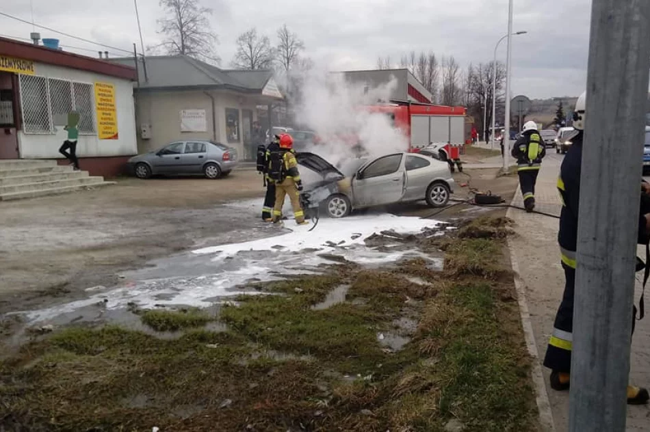 Przy drodze wojewódzkiej spłonął samochód - zdjęcie 5