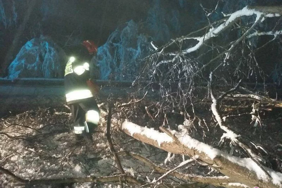 Tak było w święta w Krynicy - Zdroju: wiatr dał się we znaki - zdjęcie 3