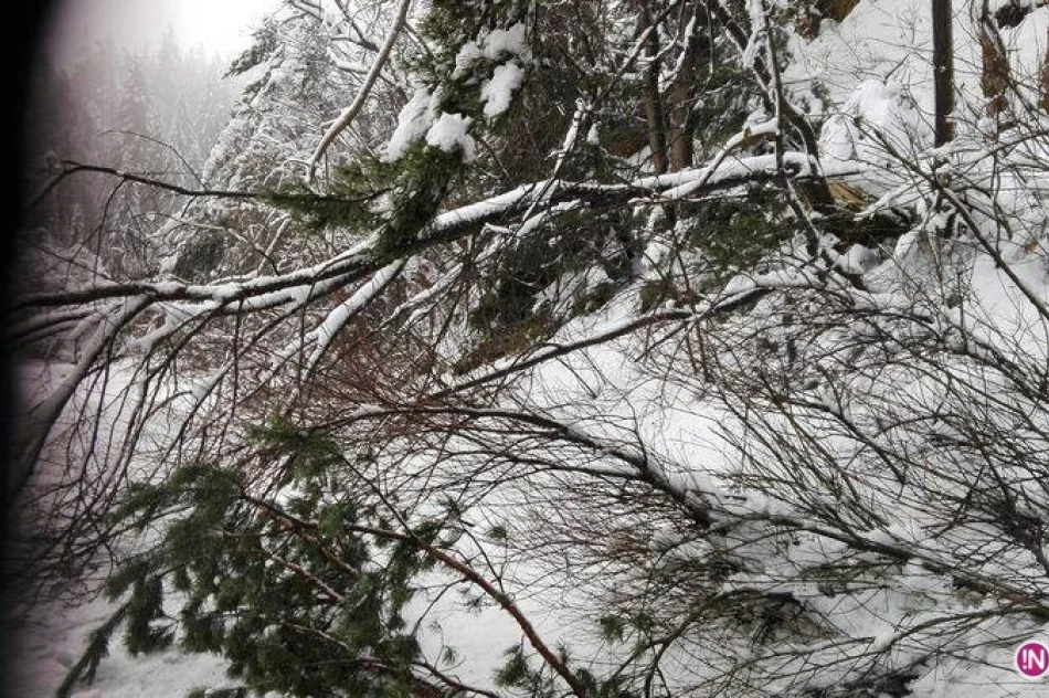 Tak było w święta w Krynicy - Zdroju: wiatr dał się we znaki - zdjęcie 4