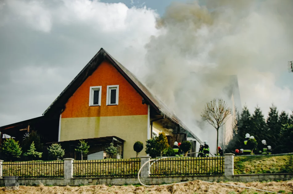 50 strażaków gasiło pożar zabudowań gospodarczych - zdjęcie 11