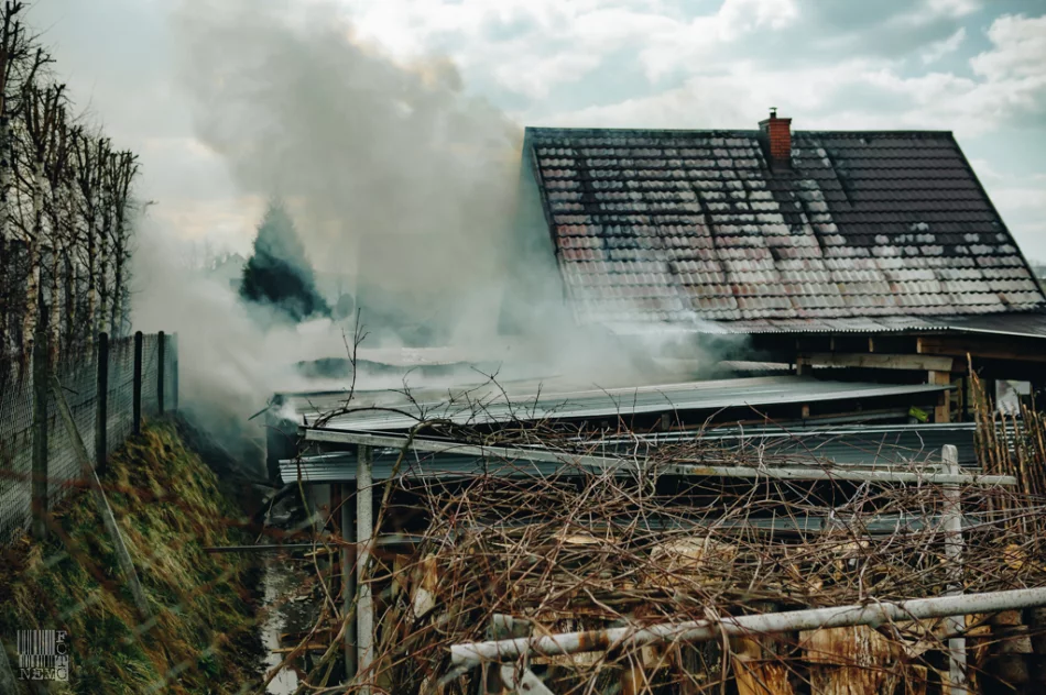 50 strażaków gasiło pożar zabudowań gospodarczych - zdjęcie 15