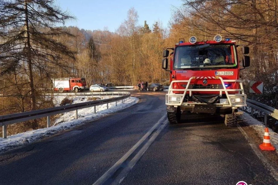 Zderzenie dwóch aut na drodze wojewódzkiej - zdjęcie 2