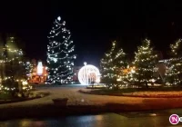 Nowa ozdoba na limanowskim rynku - zdjęcie główne