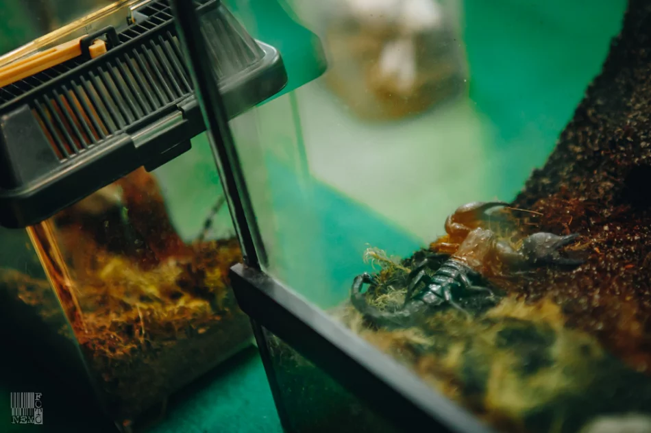 Powiatowe Targi Edukacyjne 2019 w ZSTiO - zdjęcie 11