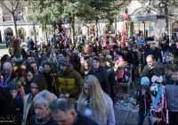 Zbliża się doroczny konkurs palm - zdjęcie główne