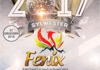 Przywitaj Nowy Rok szampańską zabawą w sali bankietowej 'Fenix'! - zdjęcie główne