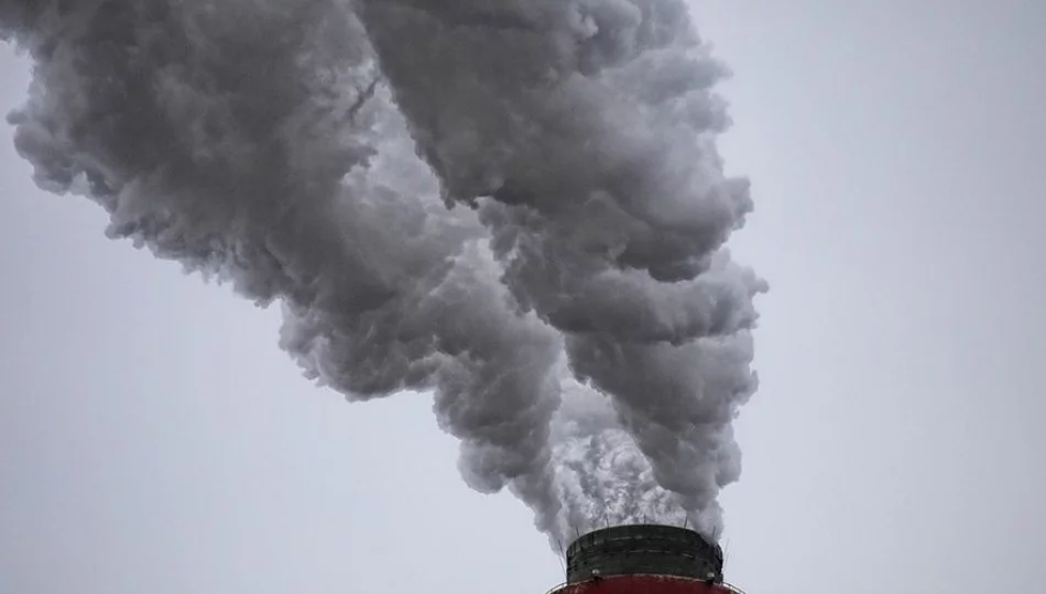 Włącz się do walki ze smogiem. Formularz Ekointerwencji już dostępny - zdjęcie 1