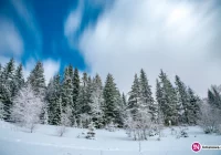 Ostrzeżenie meteorologów: silny mróz - zdjęcie główne