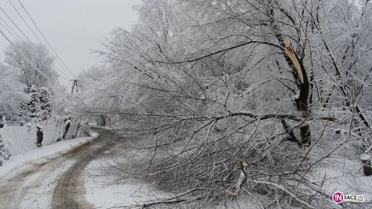 Choć wciąż pada deszcz, wkrótce sypnie śniegiem