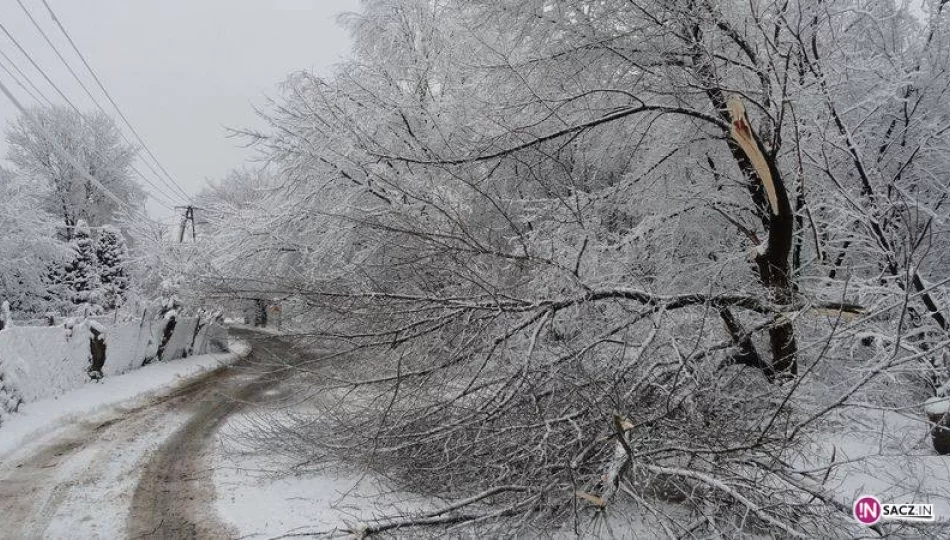 Choć wciąż pada deszcz, wkrótce sypnie śniegiem - zdjęcie 1