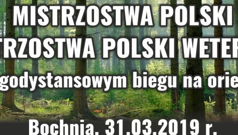 Patria ponownie organizatorem Mistrzostw Polski - zdjęcie 1