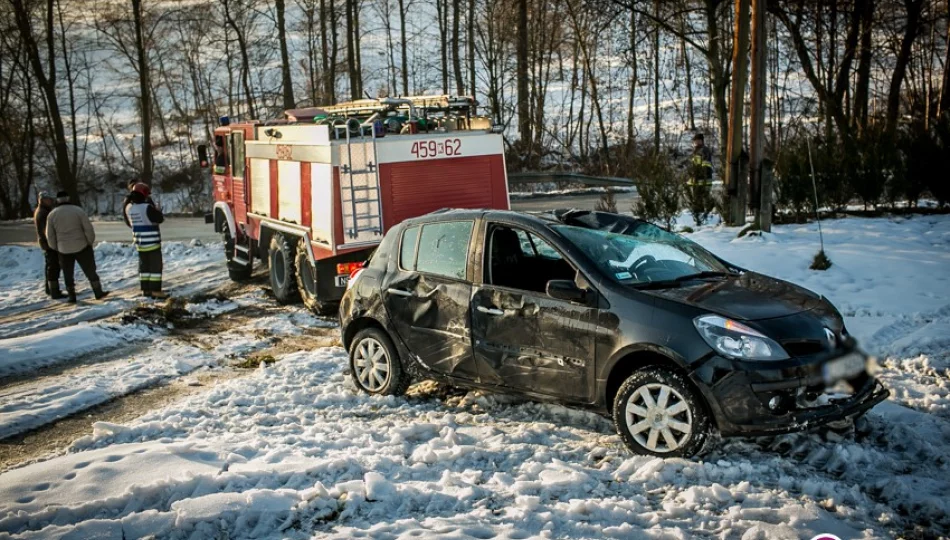 Renault dachowało w korycie potoku, jedna osoba trafiła do szpitala - zdjęcie 1
