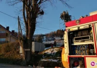 Druhowie nieśli pomoc... kotu - zdjęcie główne