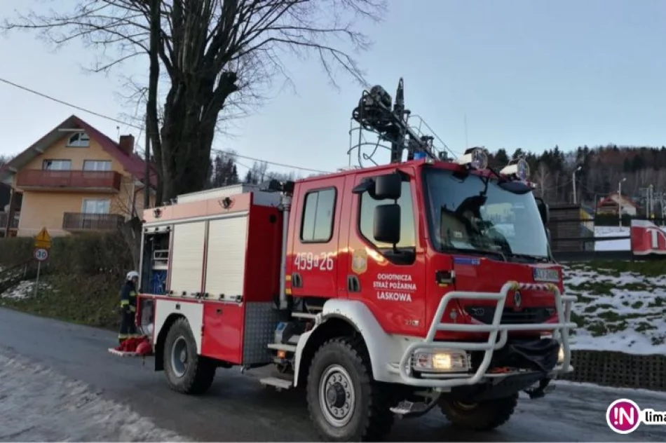 Druhowie nieśli pomoc... kotu - zdjęcie 2