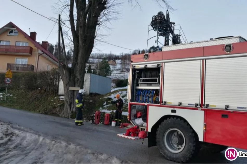 Druhowie nieśli pomoc... kotu - zdjęcie 3