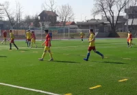 MLJM. Remis Limanovii na Podhalu - zdjęcie główne