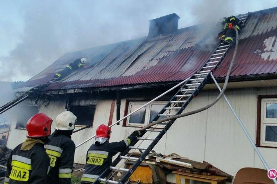 Pożar na romskim osiedlu: nie żyje niespełna 3-letnie dziecko! - zdjęcie 3