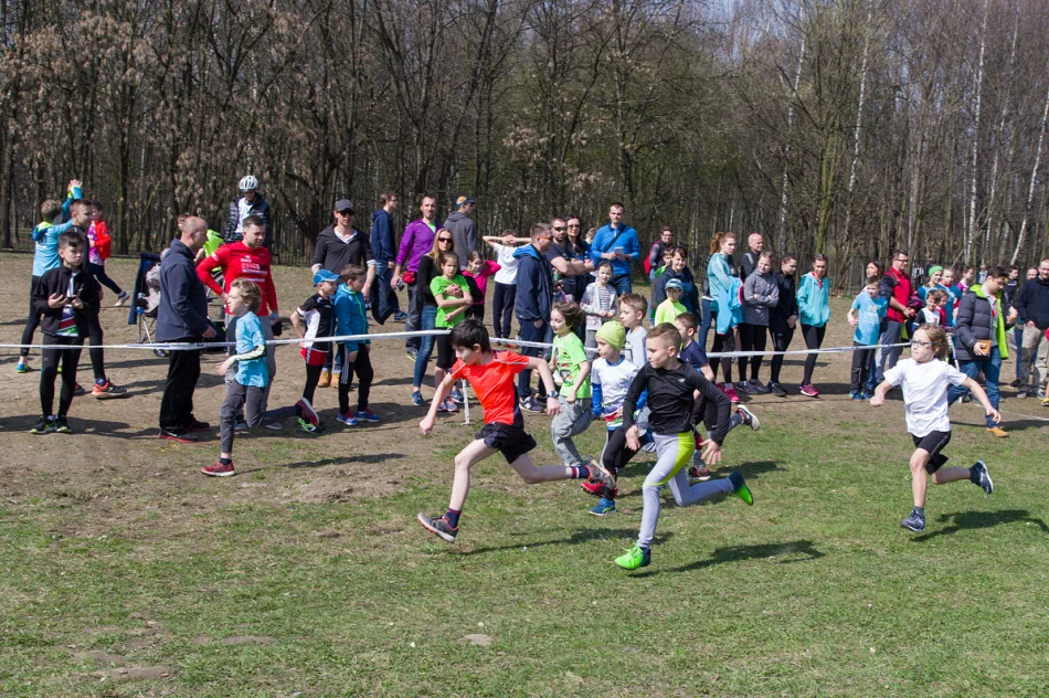 Sukces lekkoatletów na mistrzostwach województwa w biegach przełajowych - zdjęcie 3