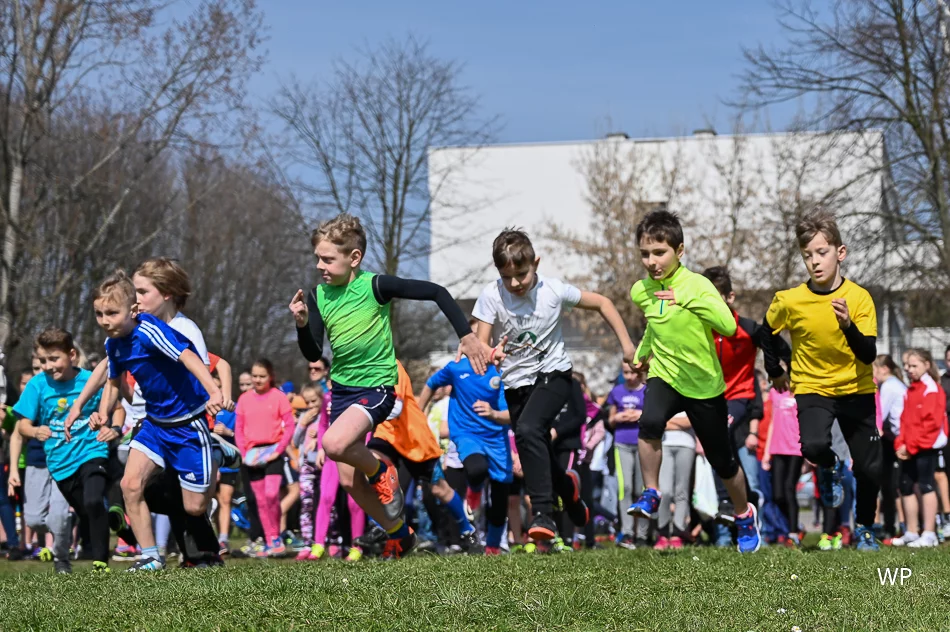 Sukces lekkoatletów na mistrzostwach województwa w biegach przełajowych - zdjęcie 2