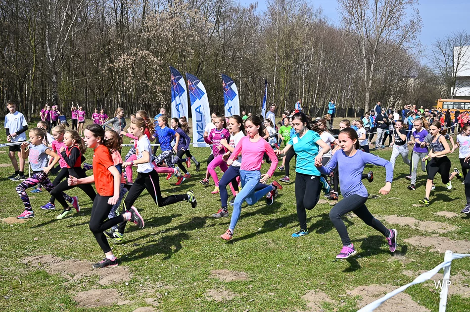 Sukces lekkoatletów na mistrzostwach województwa w biegach przełajowych - zdjęcie 4