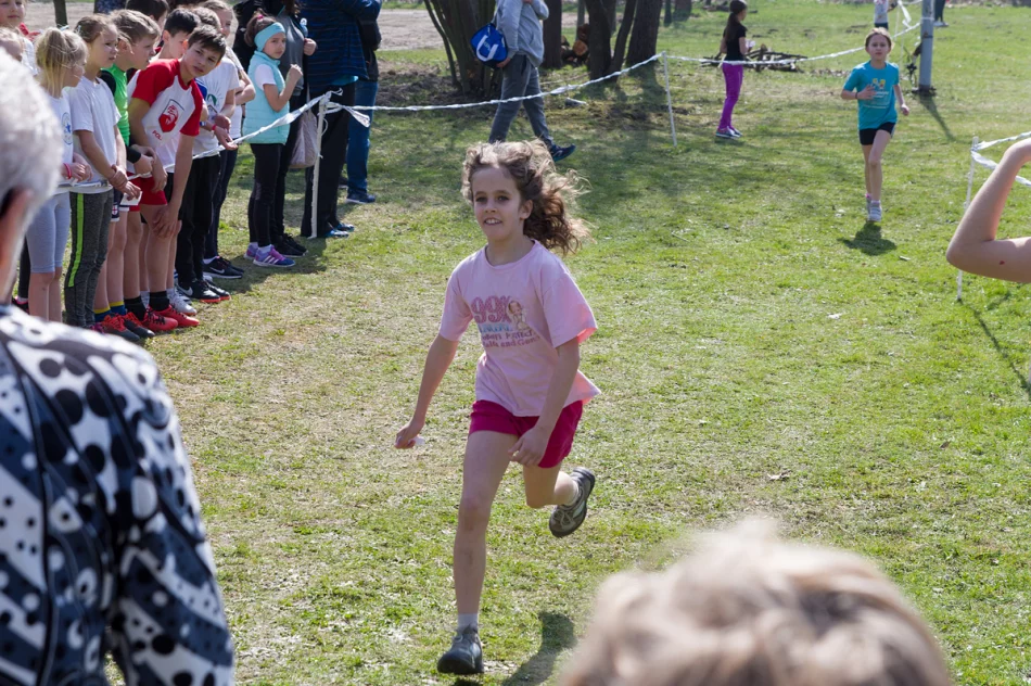 Sukces lekkoatletów na mistrzostwach województwa w biegach przełajowych - zdjęcie 6