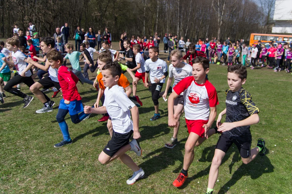 Sukces lekkoatletów na mistrzostwach województwa w biegach przełajowych - zdjęcie 7