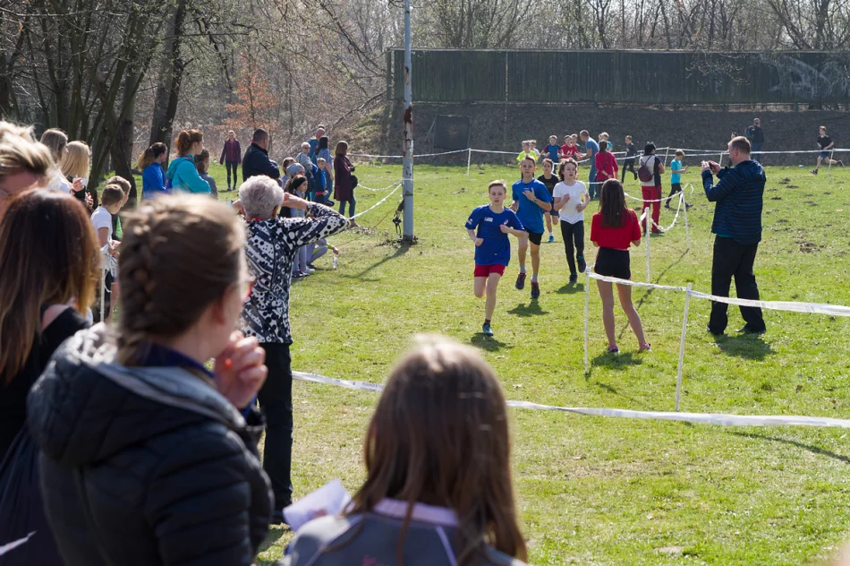 Sukces lekkoatletów na mistrzostwach województwa w biegach przełajowych - zdjęcie 12