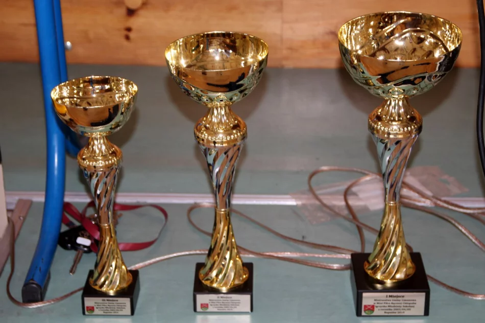 Chłopcy ze Starej Wsi Mistrzami Gminy Limanowa w piłce ręcznej - zdjęcie 14