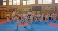I Turniej Karate Shinkyokushin w Starej Wsi  - zdjęcie 2