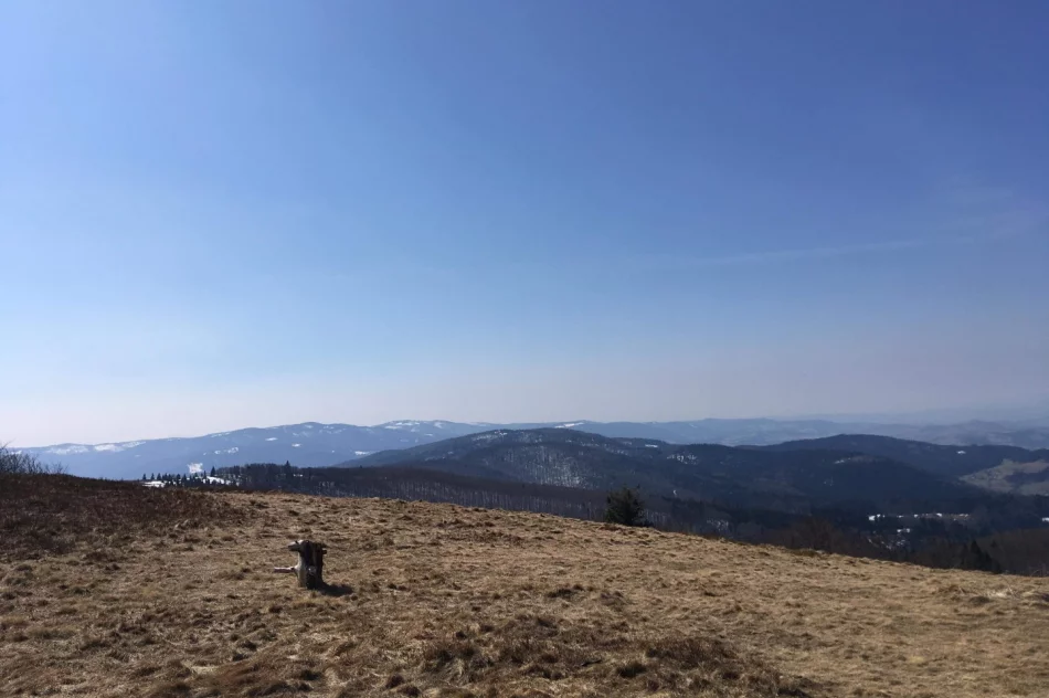 Pamiętali o rocznicy śmierci Ojca Świętego - zdjęcie 5