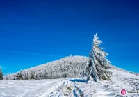 Kolejna noc silnego mrozu - zdjęcie główne