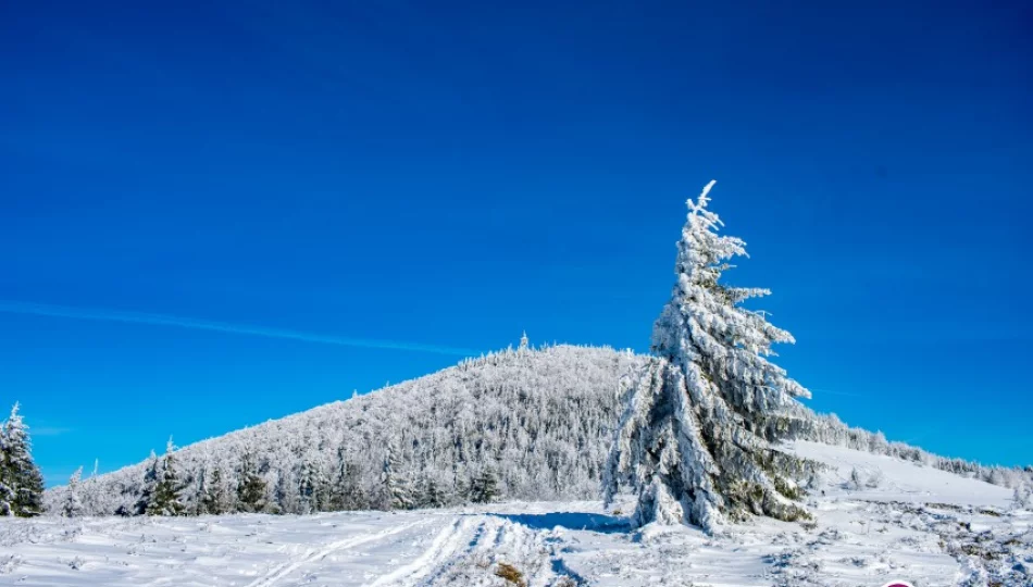 Kolejna noc silnego mrozu - zdjęcie 1