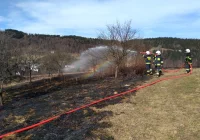 Strażacy dziennie gaszą po kilka pożarów traw i zarośli - zdjęcie główne