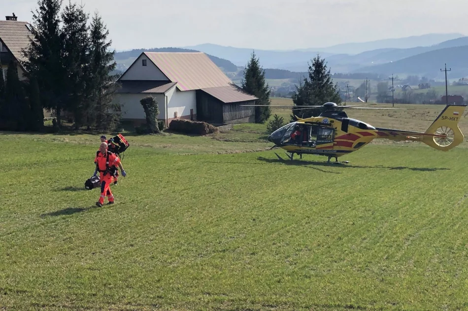 Tragiczny wypadek na DK28. Zmarła potrącona 14-latka - zdjęcie 5