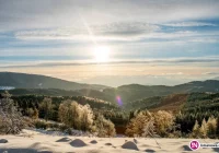 Nowoczesna wystosowała interpelację w sprawie GPN - zdjęcie główne