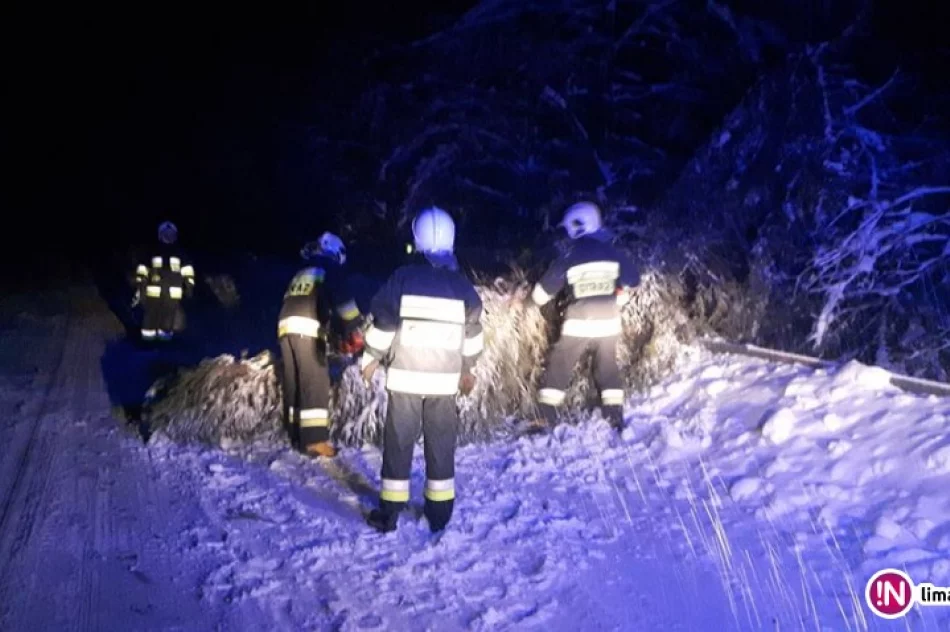 42 interwencje straży pożarnej - zdjęcie 2