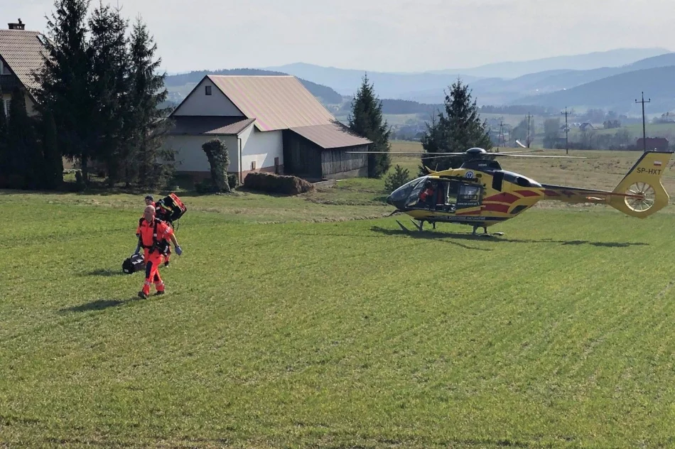 Policja: 14-latka prawdopodobnie przebiegała przez jezdnię - zdjęcie 5