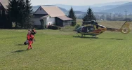 Policja: 14-latka prawdopodobnie przebiegała przez jezdnię - zdjęcie 5